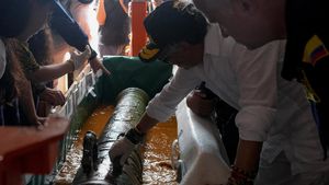 Penemuan Mengejutkan! Artefak Kapal San Jose Muncul di Laut Karibia