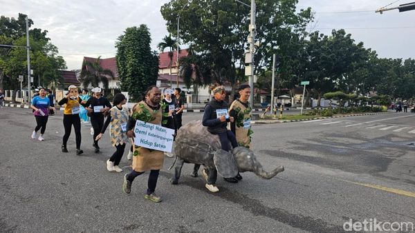 Potret Gajah hingga Domba Berlari untuk Selamatkan Hutan Riau