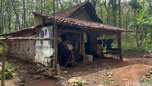 7 Fakta Kisah Manusia Hutan Tinggal di Pedalaman Mojokerto-Jombang