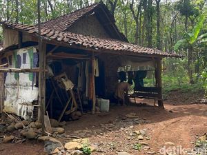 Tiga Keluarga Manusia Hutan yang Hidup di Pedalaman Mojokerto-Jombang