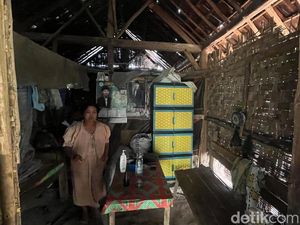 Kata Sosiolog Soal Fenomena Manusia Hutan Mojokerto-Jombang