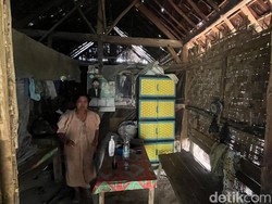 Kata Sosiolog Soal Fenomena Manusia Hutan Mojokerto-Jombang