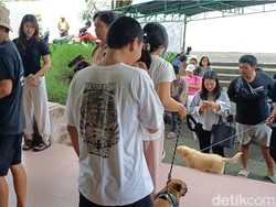Sterilisasi Anjing Gratis di Badung Laris, Kuota 100 Ekor Terisi