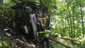 Bus Terjun ke Jurang di Situbondo Lukai Tujuh Penumpang