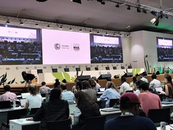 COP30 dan Pengutamaan Diplomasi Masyarakat Adat