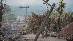 Erupsi Semeru Ganggu Akses Listrik Ratusan Rumah