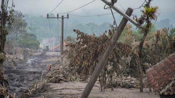 Erupsi Semeru Ganggu Akses Listrik Ratusan Rumah