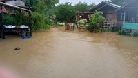 Pengiriman Bantuan Terkendala, Warga Aceh Timur Korban Banjir Alami Kelaparan