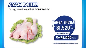 Berita dari Detik Finance: Transmart Full Day Sale! Ayam Broiler Diobral Murah