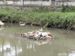 Pelototi Warga Buang Sampah ke Sungai, DLHK Badung Bentuk Tim Pemantau
