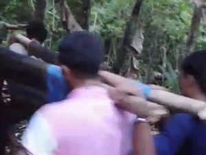 Ular Piton 7 Meter Lilit Petani di Buton hingga Tewas