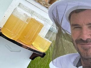 David Beckham Gak Cuma Urus Kebun, Ternak Ayam, Lebah, tapi Juga Bikin Kue