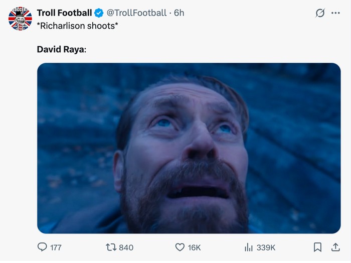 meme sepakbola,meme,david raya,meme,arsenal,arsenal vs tottenham hotspur,richarlison,liga inggris,premier league