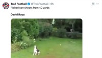 Raya diledek bak anjing yang viral karena gagal menangkap bola yang dilempar pemiliknya. Bola ke mana, ngejarnya ke mana. (Foto: X.com/@TrollFootball)