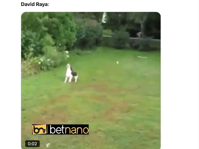 meme sepakbola,meme,david raya,meme,arsenal,arsenal vs tottenham hotspur,richarlison,liga inggris,premier league
