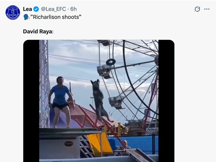meme sepakbola,meme,david raya,meme,arsenal,arsenal vs tottenham hotspur,richarlison,liga inggris,premier league