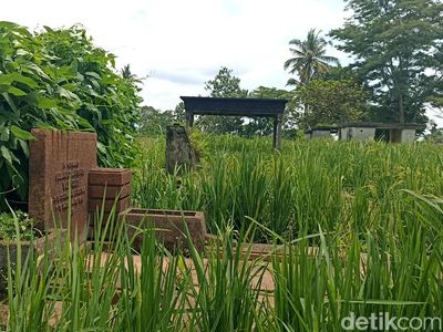 Jejak Kolonial di Blitar Ini Kini Menjadi Sawah