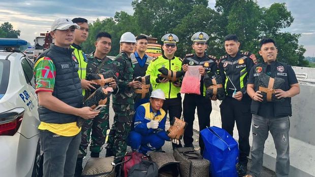 Potret mobil kurir ekstasi ringsek usai kecelakaan di Tol Lampung, Kamis (20/11/2025).