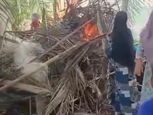 Viral Emak-Emak Perwiritan Bakar Gubuk Narkoba di Langkat, Bong Sabu Ditemukan