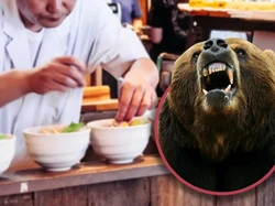 Wajahnya Berlumuran Darah, Chef Ini Tetap Kerja usai Diserang Beruang
