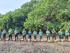 Dorong Ekonomi Hijau, Bank Indonesia Tanam 1.000 Mangrove di Bali