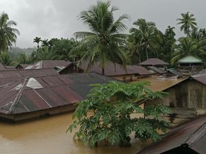 15 Hektare Sawah di Madina Terendam Banjir