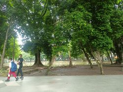 Hujan Sebabkan Kambang Iwak Meluap, Warga Minta Kolam Dikeruk