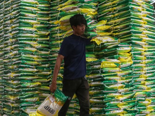 Mentan Bidik 34,77 Juta Ton Beras pada 2026, Kedaulatan Pangan Diperkuat