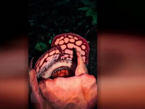 Di Balik Reaksi Haru Peneliti RI Ketika Menemukan Spesies Bunga Bangkai Langka