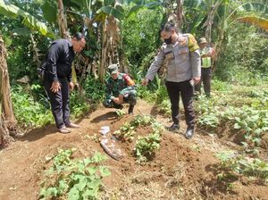 Geger Bangkai Anjing Berkafan di Bogor, Sempat Dikira Mayat Bocah