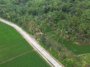 Pemprov Banten Perbaiki Jalan Rusak di Pandeglang, Gelontorkan Rp 61 Miliar