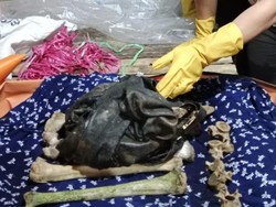 Heboh Penemuan Diduga Kerangka Manusia di Tepi Sungai Musi Rawas