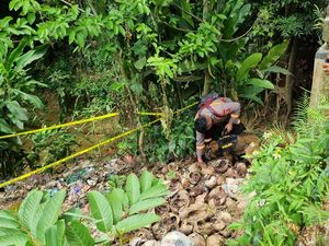 Potret Anjing Pelacak Sisir Jembatan di Tenjo Cari Kerangka Bocah Alvaro