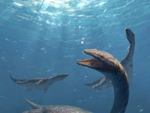 Ilmuwan Temukan Reptil Laut Purba dari 240 Juta Tahun Lalu, Seperti Ini Bentuknya