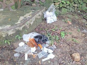 Ketahuan Nyampah, Kru Film Disanksi Bersihkan Lokasi Syuting di Hutan Wanagama