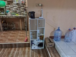 Momen Tikus Besar Masuk Rumah Warga di Bogor, Serang Bocah hingga Bikin Takut