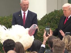 Video: Presiden Trump Mengampuni 2 Kalkun, Kenapa?