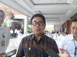 Proyek PSEL Bali Dibangun di Lahan Pelindo, Danantara Carikan Investor