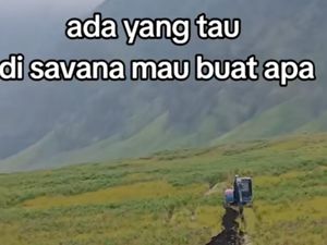 TNBTS Jelaskan Fungsi Alat Berat di Lautan Pasir Bromo yang Menuai Protes