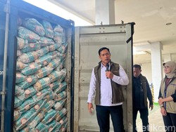Stok Beras RI 3,8 Juta Ton, Bos Bulog: Tak Perlu Impor!