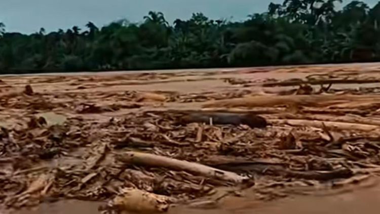 Komisi IV DPR dan Kemenhut Telusuri Fenomena Kayu Gelondongan Pascabanjir Sumatera