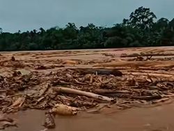 Kayu Gelondongan Terbawa Banjir di Sumut, Ini Kata Bobby