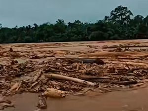 Video Update Korban Bencana Sumut: 43 Orang Tewas-88 Masih Dicari