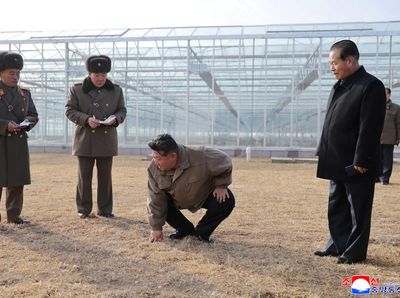 Kim Jong Un Tinjau Pembangunan Kompleks Rumah Kaca Sinuiju