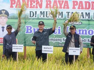 Panen Raya Ketiga di Lamongan Tembus Harga Tinggi dan Cetak Capaian Baru