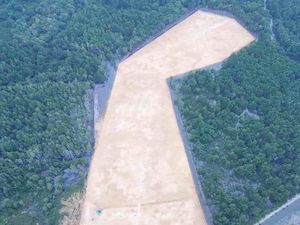 DLHK Kendari Buka Suara soal Gubernur Sultra Diduga Babat Mangrove 3 Hektare