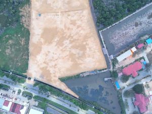 Gubernur Sultra Akui Babat Mangrove 3 Hektare di Kendari Buat Bangun Masjid