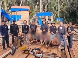 Polres Pelalawan Bongkar Illegal Logging, 6 Pelaku Dijerat