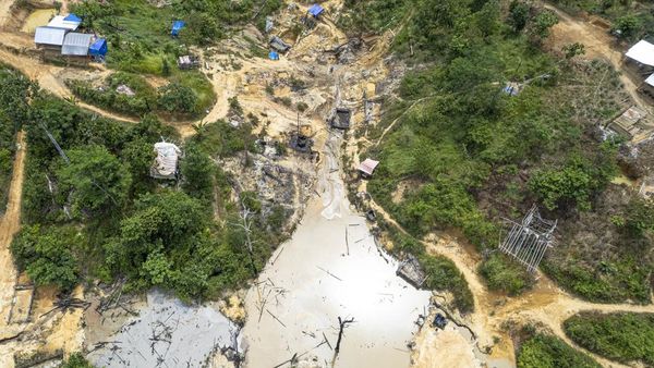 Ratusan Sumur Minyak Ilegal Kepung Hutan Harapan, Ekosistem Terancam