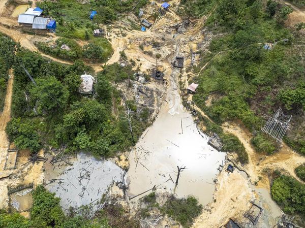 Ratusan Sumur Minyak Ilegal Kepung Hutan Harapan, Ekosistem Terancam